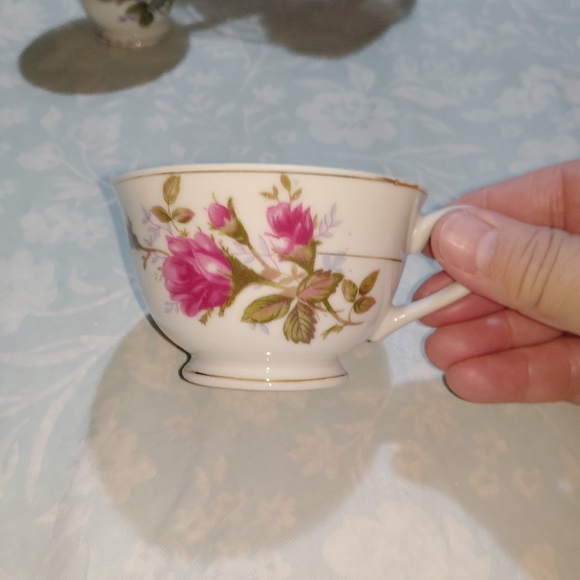 Rose Teacup and Saucer Set - Japan - Picture 5 of 14